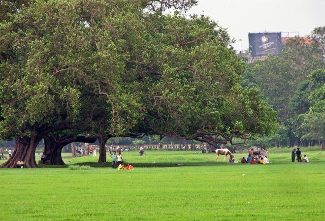 Парк Майдан в Калькутте
