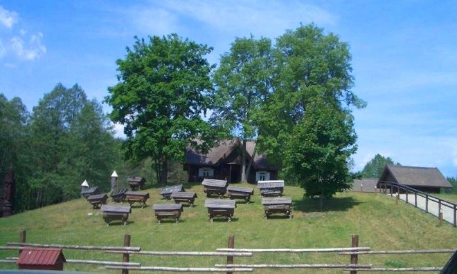 Музей древнего пчеловодства