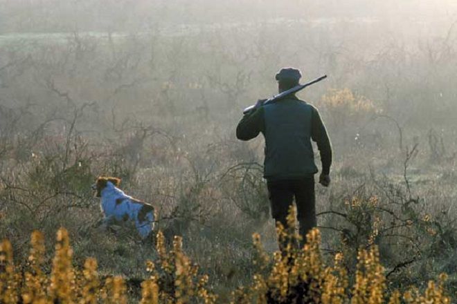 Разрешение на охоту в Литве
