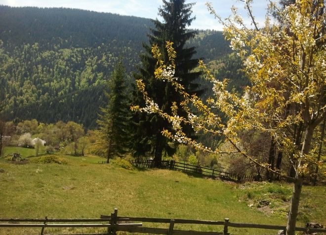 Горы Трансильвании Апусени в Румынии