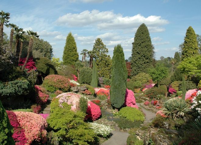 Ботанический сад Англии