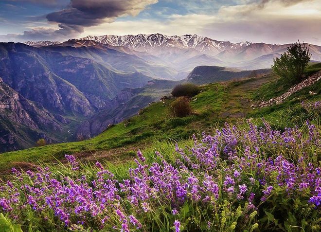 Армения летом