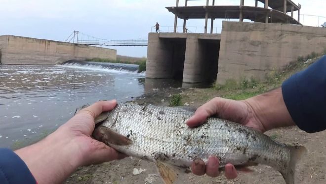 Рыбалка в Армении