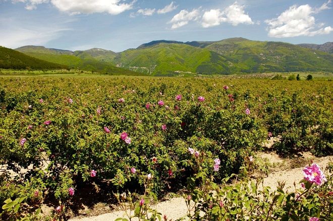 10 фактов о природе и географии Болгарии
