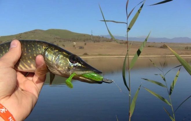 Рыбалка на озере Порой