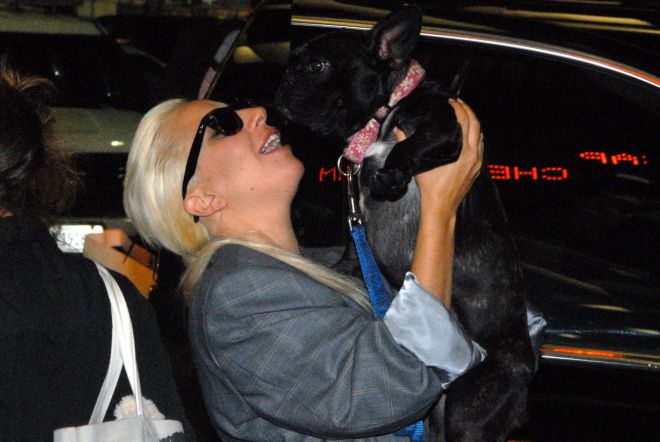 Леди Гага и собака