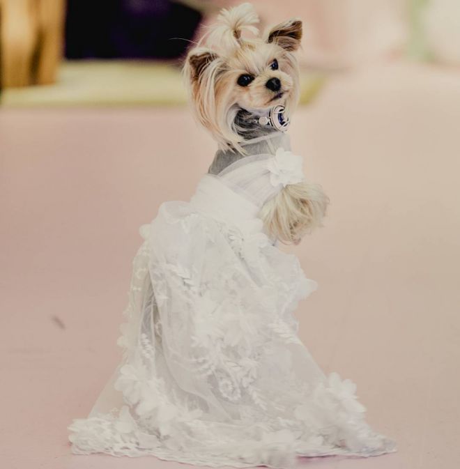 лола в свадебном платье
