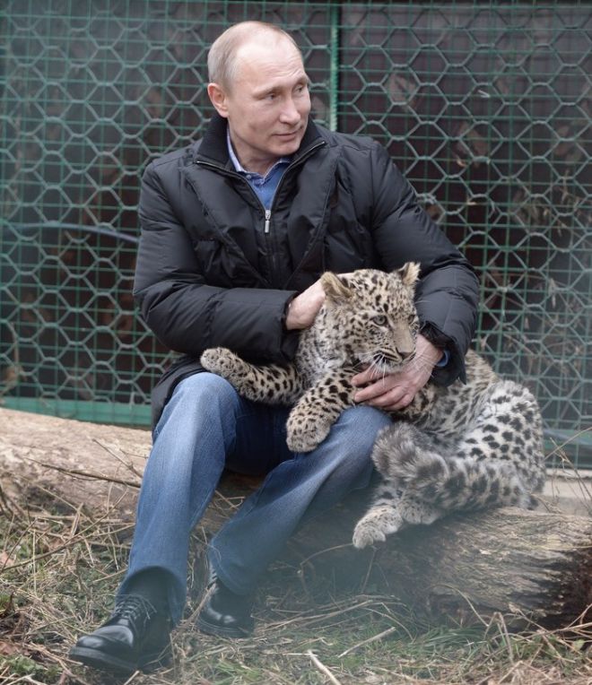 Путин и рысь