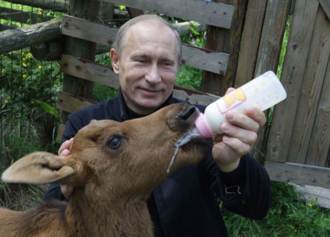 Путин поит молоком