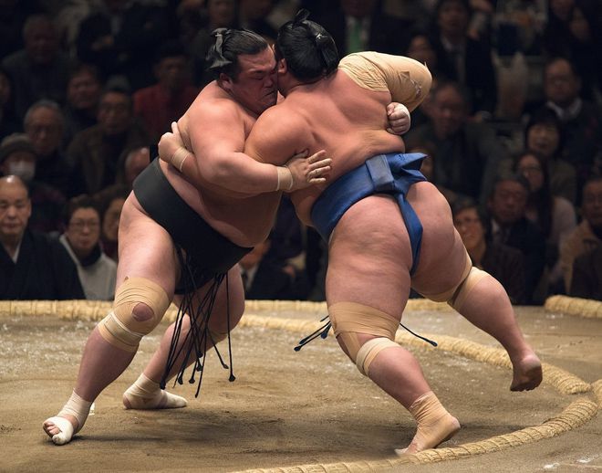боевые искусства - сумо