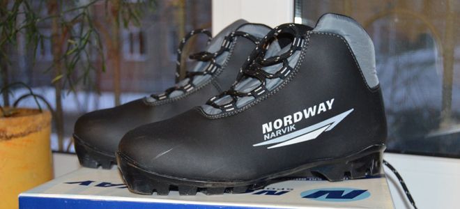 лыжные ботинки nordway