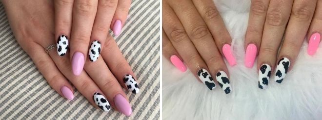 manicure cow pink