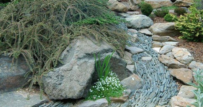 сухой ручей из камней