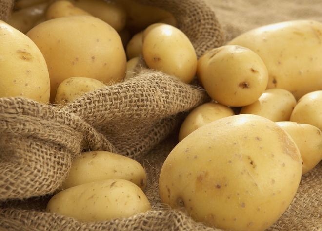 средние сорта картофеля