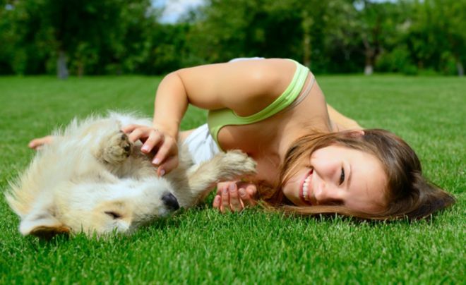 Лечение демодекоза у собак в домашних условиях народными средствами thumbnail