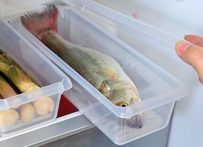 как убрать запах рыбы из холодильника
