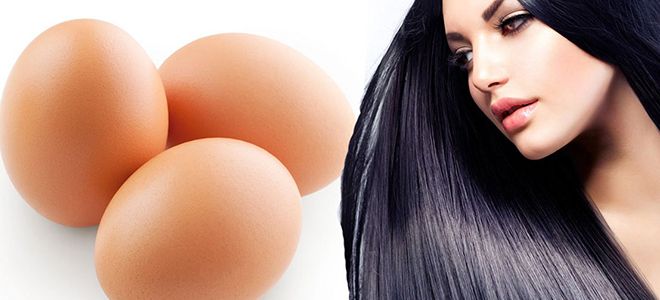 чем полезно яйцо для волос