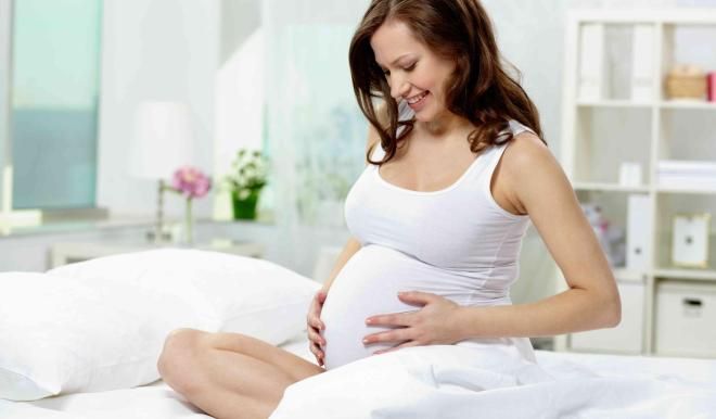корень цикория при беременности