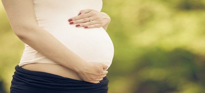 беременность 14 недель развитие
