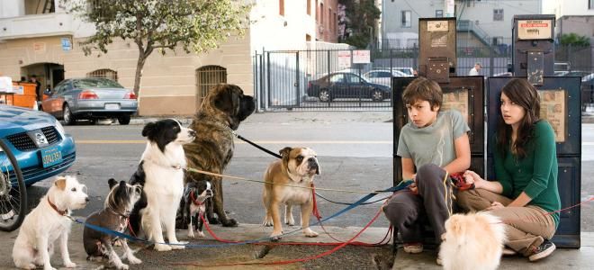 Художественные фильмы о собаках Отель