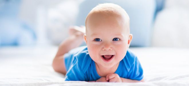 Развитие ребенка в 6 месяцев