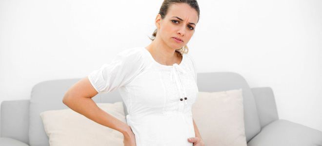 амниотическая жидкость при беременности