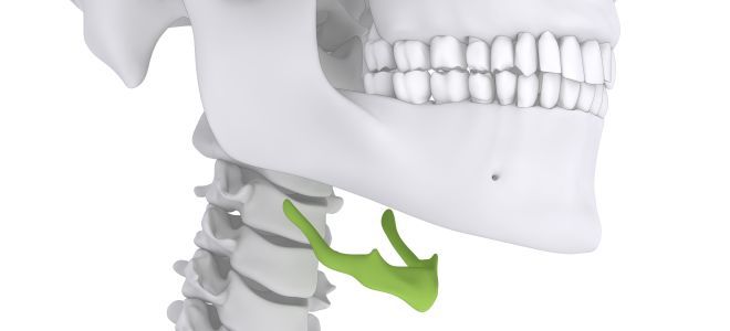 Кости лицевого отдела черепа подъязычная