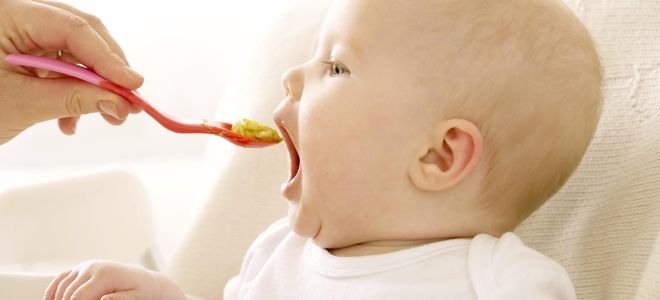 Режим питания ребенка в 6 месяцев