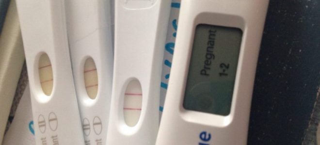 цифровой тест на беременность
