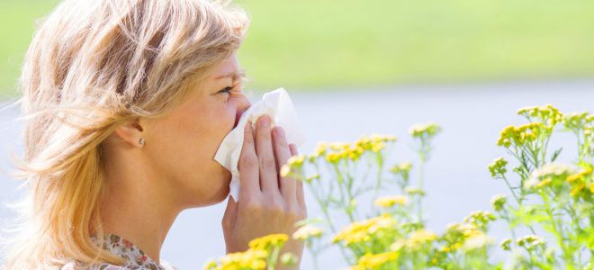 Причины аллергии на пыльцу