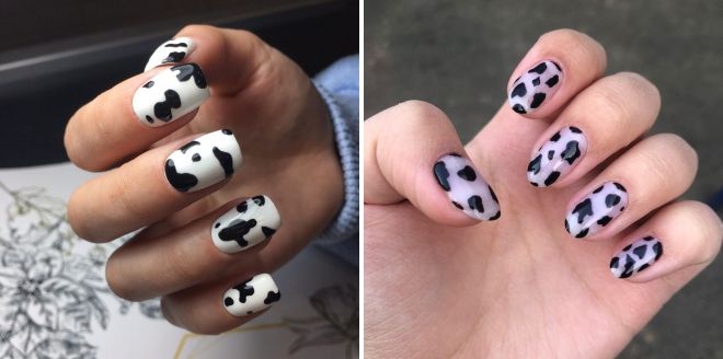 summer manicure in the style of a cow for short nails