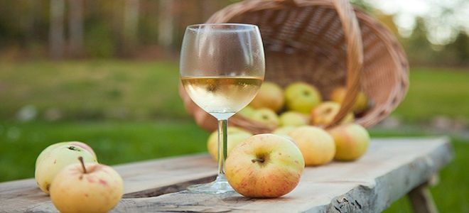 как сделать яблочное вино