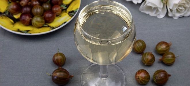 вино из крыжовника мохито