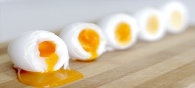 как варить гусиные яйца