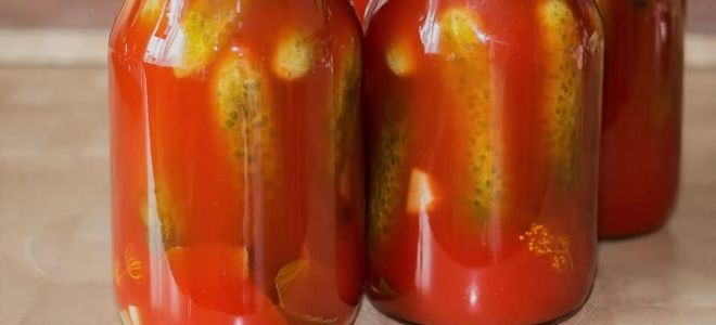 Огурцы в томатной пасте на зиму рецепт