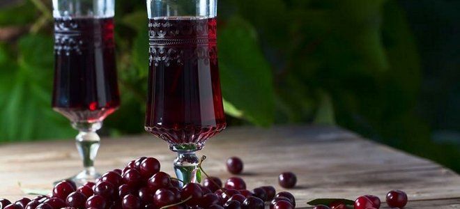 вино из вишни с водкой