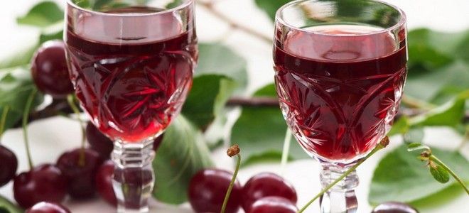 вино из вишни без сахара
