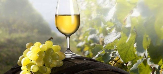 как сделать вино из белого винограда