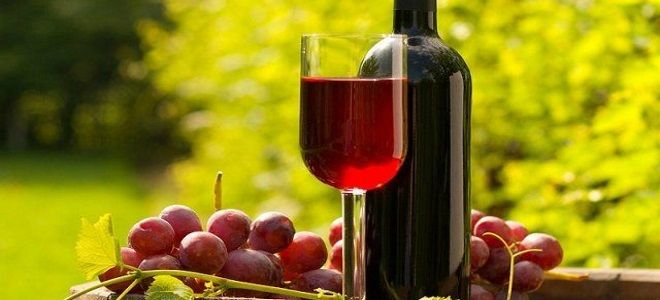 вино из винограда лидия