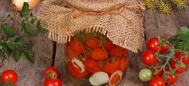 помидоры в желатине без стерилизации