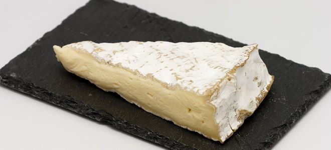 мягкий сыр бри с белой плесенью
