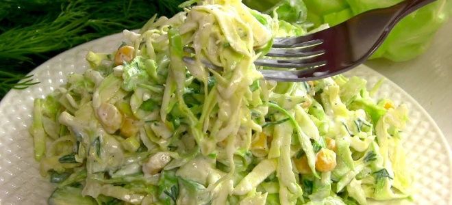 быстрый салат из капусты