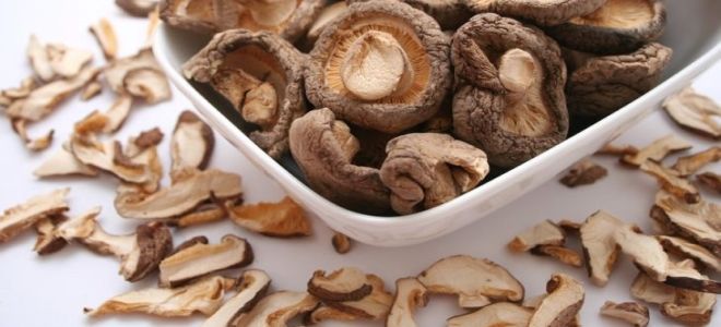 Как засушить грибы на зиму