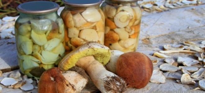 Маринад для белых грибов на зиму