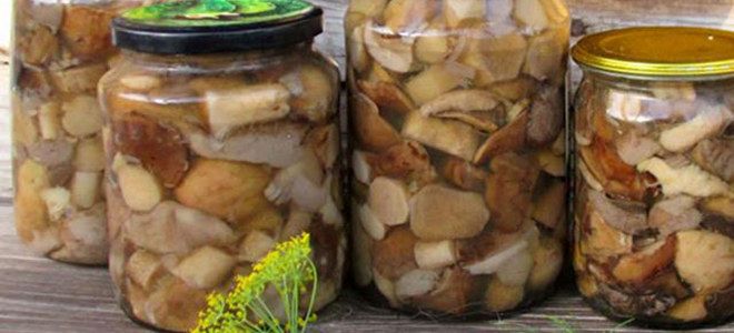 жареные грибы обабки на зиму рецепт