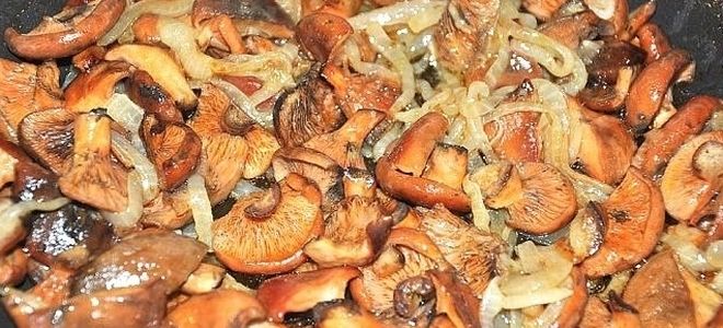 жареные грибы рыжики на зиму