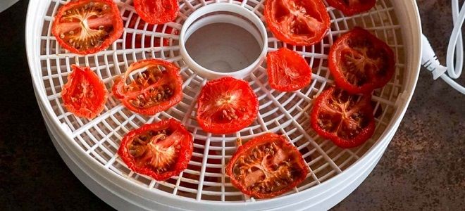 рецепт вяленых помидоров в сушилке