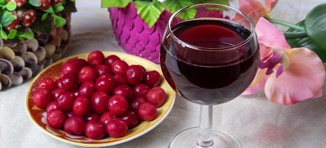 вино из замороженной вишни