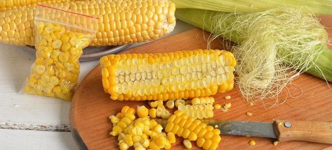 заморозка кукурузы на зиму в домашних условиях