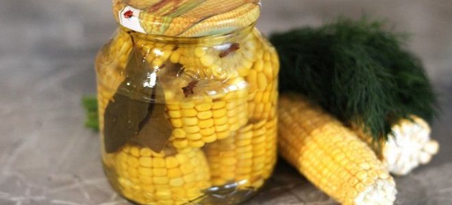 маринованная кукуруза в домашних условиях на зиму